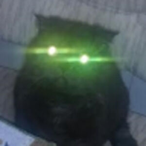 Meet your Posher, Svetlana